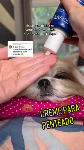 Respondendo a @rafaelacallado  o creme que usamos antes dos penteados se chama hidrapet (tu consegue encontrar em varios locais: como cobasi e petz 🥰