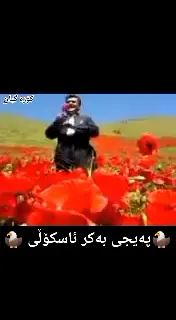 پەیجی بەکرئاسکۆڵی ،نوری باریکەی ،کامیل ئاسکۆڵی ؟ هەر ئیشێیکتان هەیە لەسناپ ئەدم کەن دڵی منن