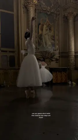 ballerina faries are real 🙆🏾‍♂️🧚🏽‍♂️  #fyp #pourtoi #ballettok #ballet #balletdancer #ballerina #tutu #balletcore #balletcoreaesthetic #parisoperaballet #giselle