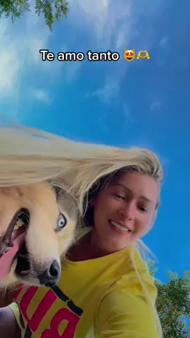 #parati #fypシ feliz tardecer 🙌🌄