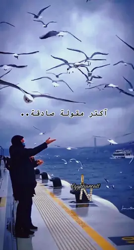 منً جاور السعيد#fyp #تصميمي #اقوال_وحكم_الحياة #خواطر #اكسبلور #الحياه 