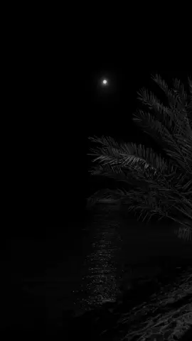 6:22 | ربّاهُ اني تائهٌ فَتَولّني ،                                           #ناصر_السعيد#explore#foryou 