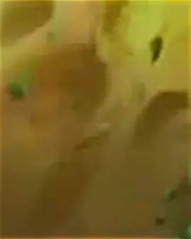 #Taguro#fyp#viraltiktok #meme