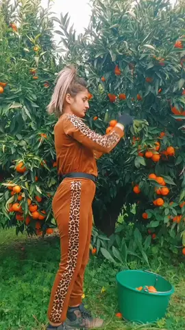 #5pasidebine #foryou #fyp #fypシ #viralvideo #viral 