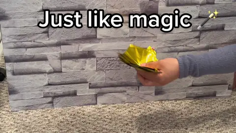 Now that’s what you call magic! Love working with mini foil stars! 🤩 they make the perfect accent balloons on a garland!  #fyp #fypシ #explore #explo #balloons #balloon #balloonart #balloonartist #balloonsdecoration #balloongarland #balloondecor #star #stars #gold #foilballoon 