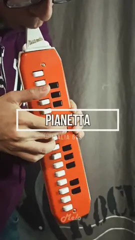 Pianetta - Pocket mouth accordion #melodica #melodion #pianica #musicaneomelodica #melodicagang #meodicas #escaleta #escaletapianica #melodicacover #melodicatiktok #melodicavintage