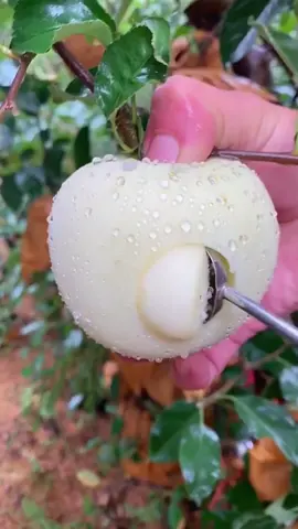 OMG 😱 milk apple ?🤤🍏#usa #fruit #asmr