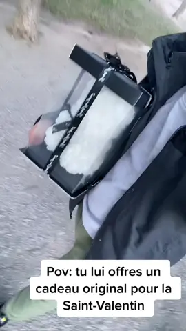 #saintvalentin #cadeau #amoureux #gift #ValentinesDay #Love #oursonenroses #rosebear #ideescadeaux #mignon 