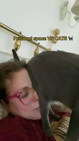 Must. Stay. Close. To. Mom. #catsmoves #personalspacecat #personalspaceinvader #personalspaceissues 