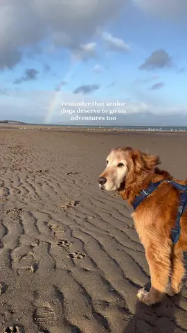 He’s on his 2nd country of the year and living the dream 🥺 