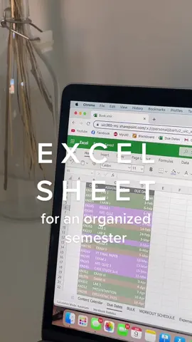 saved me for the last 3 semesters, brining it to next 3 👌🏼 #collegetips #excelsheet #excelassignment #organizedstudent #organizationtips #productivity #chicago 
