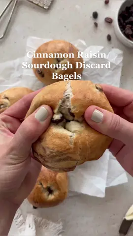 Nothing better than a fresh bagel 😍 Cinnamon Raisin Sourdough Discard Bagels recipe on the blog, link in bio #sourdoughdiscardrecipe #homemadebagels #bagelsrecipe #cinnamonraisinbagel 