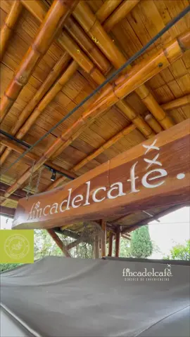 🌧️ ¡Qué sería de nuestros cafetales sin la lluvia! 😍 Recorrer el #CoffeeTour es una aventura que te puede llevar del sol a la lluvia; así como lo vivieron este grupo de amigos extranjeros. ☕️ Y al final… Un cafecito caliente.Reserva tu COFFEE TOUR al: (318) 386-6398¡Gracias @livingtripscolombia  y @naturetripscol !FINCADELCAFE.comCírculo de Experiencias#Café #SantaRosaDeCabal #Risaralda #Colombia #PaisajeCulturalCafetero