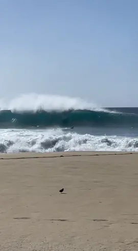 The waves are firing in hawaii 🌊 #fyp #foryou #waves #surf #surfing #ocean #beach #hawaii #insane #barrel #surftok #vibes #oahu 
