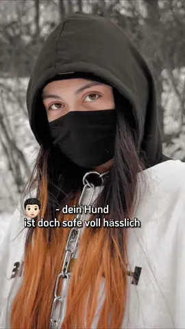 Antwort auf @🧿 natürlich darf Abyzou nicht fehlen!🤎 #dog #hund #schäferhund #shepherd #gsd #deutscherschäferhund #germanshepherd #dsh #langhaarschäferhund 