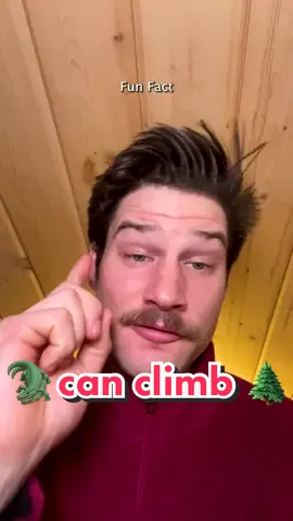 Both Crocodiles and Alligators can climb trees and they’ve both been spotted perched on tree branches as high up as 30 feet. And they're so good at climbing that NASA had to start installing special Alligator proof chain link fences.#alligator #alligators #alligatorsoftiktok #crocodile #crocodiles #crocodilesoftiktok #crocodilefacts #alligatorfacts #nasa #nationalgeographic #nationalgeographics #interestingfacts #interestingfact #interestingfactsforyou #interestingfactoid #amazingfactx #amazingfact #amazingfacts #amazingfactsministries #coolfact #coolfacts #coolfactz #randomfact #randomfacts #randomfactstiktok #randomfacts4u #randomfactsforyou #fact #facts #factstime #factsandtheorieshub #factsdaily #dailyfacts #factdaily #dailyfact #facttok #facttiktok #funfact #funfacts #funfactstoknow #funfactdaily #funfactsdaily #dailyfunfact #dailyfunfacts #EduTok 
