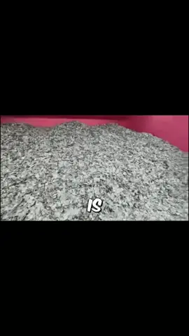 Gunung uang $1.000.000 @MrBeast #mrbeast #mrbeastchallenge #mrbeastindonesia #bahasaindonesia #gununguang #mrbeastberbagi #sultan #fyp 