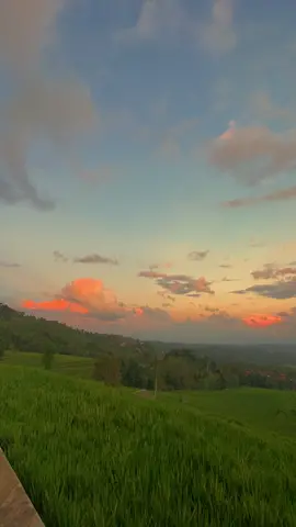 Kok gak di skip? Adem yaa? #fyp #fypシ #foryoupage #sunset #sawah #pemandangan #alam #ngaji 