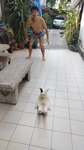 โยคะ,ออกกำลังกาย