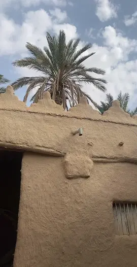 #بيت #تراث #قديم #زمان_الطيبين #تراثيات #تصميمي #تصويري #تيك_توك #بيوت_الطيبين #ترند_تيك_توك #اكسبلور #اكسبلورexplore #اكسبلورر #ياعيني #العين 