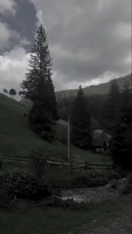 #imsorrygoodbye #galaubrutal #liriklagu 