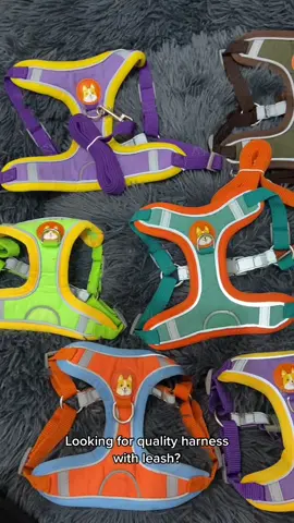 #petwell #dogleash #petharnesswithleash #foryourpets #homebudolfest #petbudolfinds 
