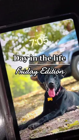 I’m super excited for a 3 day weekend!!☀️#dayinmylife #dayinthelife #friday #spendthedaywithme #Vlog #DailyRoutine #dailyvlog #75hard #dayinthelifevlog #workfromhome #wife #weekend #dailylife #reallife #relateable #smalltown #texas #fridayvibes #married #goodvibes #youngmarriage #youngmarriedcouple #youngmarriedlife #ditl #dogmom #75hardchallenge #75hardresults #newyearsresolution 