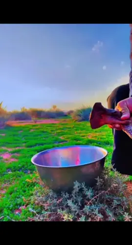 #اكسبلو  #ربيع #الشمإل #الجو #خيآل ☺️💜