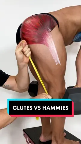 Do you have pain or imbalances in your glutes and hamstrings? 🫠 You aren’t alone. Here at MoveU, we teach anatomy and physiology in order for you to gain strong body awareness to bring a solid educational foundation to any practice. 💡   When you are doing an RDL, we want you to recognize that small changes can impact the muscular work. Strong awareness, coupled with a purposeful goal for an exercise, can take your regimen to a whole new level! 💥 Want to target your hamstrings? Use the straight leg version to put the hamstrings into their maximal stretch, which will allow you to ascend with more hamstring activation.👇   Want to place more emphasis on the glutes? 🍑 Put a slight bend in the knees to make them work a bit harder.    There is no right or wrong, just different aims. So if your aim is a bod like @jpg @b, 💪 work both of these variations into your routine! As with all exercises, it’s important to use proper form throughout the entire body. Make sure your feet are engaged, keep your core braced, maintain a neutral pelvis and spine and hinge at the hip. If you aren’t sure how to put this all together, check out our selection of courses to help you. Head over to Moveu.com and get 23% off till the end of January. What are you waiting for? 📲💯   #glutes #glutegrowth #strength #hamstrings #legday #gym #workouts #tips #anatomy #anatomyart 