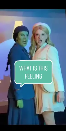 No kids, we have Wicked at home… 💕💚 #wicked #wickedmusical #whatisthisfeeling #glinda #elphaba #broadway 