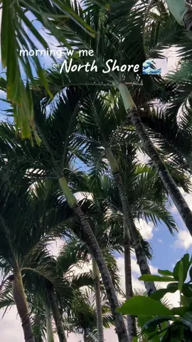 good morning from north shore🌊🫶🏽🌺 @Bloom Nutrition #morningwithme #northshore #hawaii 