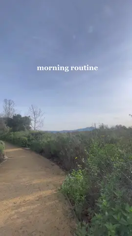friday morning routine #morningroutine #wfhroutine #zahlergreens 