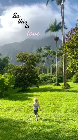 So this love 🌴❤️ #hawaii #botanicalgarden #palmtrees #1000hoursoutside #toddlerlife #momlife #oahu #sothisislove #adventureswithlittles 
