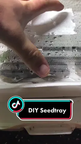 DIY recycled self watering seedling tray #DIY #garden #seedling #stem #seedstart #plants #gardenhack #howto #recycle #reuse 