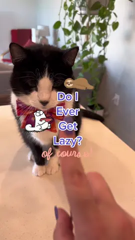 It’s impossible to be the perfect pet parent all the time. What’s important is you’re open to always learning more, and you’re proving the best you can - and that will be different for everyone. There are thousands of products, foods and items to use and there’s no “one way” to do it. #catmom #petparent #catfood #catnutrition #catfoodtips #feedmycat #baddays #lazyday #catmomtips #cats @TikiPets 