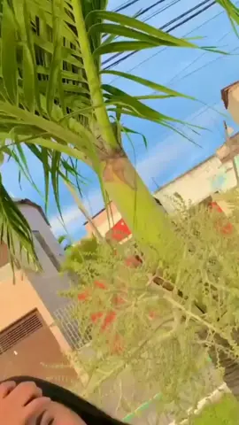 #foryou#mulher#dançadofunk♥️♥️#tiktok#bregafunk#dançarina#funkexplode#mulheresdançando😍🥵#tredtiktok💋 #vaiprofycaramba #tredtiktok #bragafunkbrasil#lidasgostossas😍❤️ 