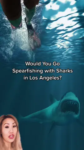 Would you? 🦈 Wrote this for the @Latimes #spearfishing #freediving  