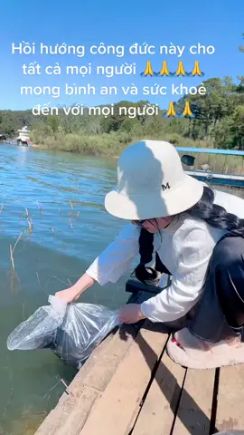 Con xin hồi hướng công đức này tới mọi người và các anh đã giúp đỡ em trong thời gian qua trong chuyến thiện nguyện lần này 🙏🙏🙏 được bình an và suéc khoẻ 🙏🙏🙏 a di đà phật 🙏#phâtphapnhiemmau #xuhuongtiktok #anhnhinthuhut 