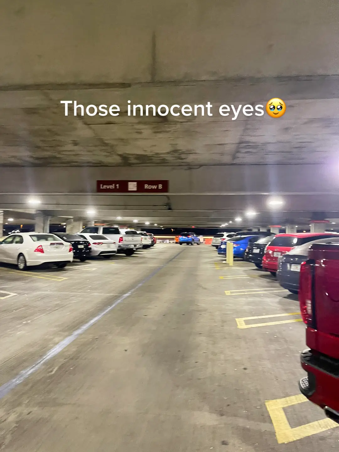 #labradorpuppy #puppylove #puppy 