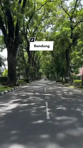 Punya kenangan apa sih kalo lewat jalan ini di Bandung? 🥹🍃  #fyp #bandung #bandungbanget #infobandung #bandunginfo #bandunghits #bandungkotakembang #bandungjuara #bandungaesthetic #bandungpunya