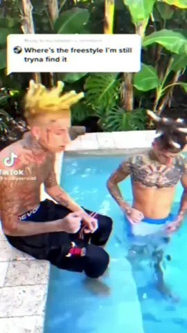 island boi~ #kevinhart #snoopdogg #islandboy #hiphop #freestyle #fyp #foryoupage #fypシ #fypシ゚viral #SultanMakanSoNice 