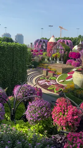 #دبي #حديقةالورود #miracelgarden_dubai🤟 