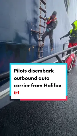 2 pilots disembark an auto carrier outbound from Halifax 🇨🇦 on a fairly rough day 🌊 #pilotboat #pilotboatlife #pilotonboard #ship #ships #boat #boats #boatlife #seafarer #seafarers #seafarerslife #sailor #sailors #sailorlife #lifeatsea #sea #ocean #nautical #halifax #halifaxnovascotia #halifaxns #halifaxnoise #halifaxtiktok #novascotia #canada🇨🇦 #canadatiktok #eastcoast #atlanticcanada #shipslife #merchantmarine 