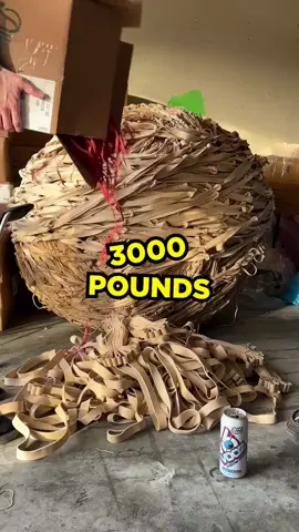 Rubber band ball part 103 #fyp #rubberbandball #voozhydrate ad @voozhydrate 