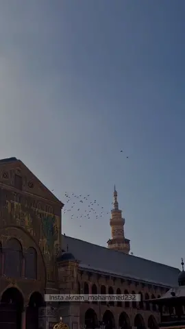 جامع بني أمية الكبير، ويعرف اختصاراً بالجامع الأموي، هو المسجد الذي أمر الوليد بن عبد الملك بتشييده في دمشق، ويُعد رابع أشهر المساجد الإسلامية بعد حرمي مكة والمدينة والمسجد الأقصى،كما يُعد واحداً من أفخم المساجد الإسلامية، وأحد عجائب الإسلام السبعة في العالم. #فيديو #فيديوهات #تصميم #سوريا🇸🇾 #رحلات #تاريخ #video #music #old #syria #cropcut #explore #tiktok #تيك_توك 