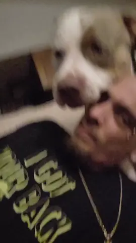 Dam dog Lick  me right in the mouth #batman #batmangang #dogsofttiktok #southbelt #bullypitbull #southside #Houston #Tx #viraltiktok #fypage 