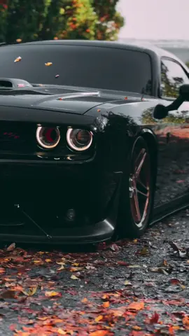 car status video 📸 car lovers  #hellcatredeye #hellcat #srt #dodge #mopar #challenger #charger #hemi #moparornocar #mustang #hemipower #camaro #bmw #scatpack #demon #americanmuscle #dodgecharger #demonic #dodgechallenger #ford #lamborghini #supercharged #corvette #rhodeisland #explorepage #trackhawk #musclecar #dodgeofficial #trendingaudio #viralreels 