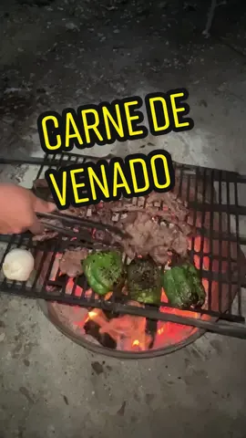 Rica carne de venado #carnedevenado  #venado #animales #comidanatural #comidasaludable  #adrianadiaz2880 #adrianarobles #alludaamami #adrianadiaz 