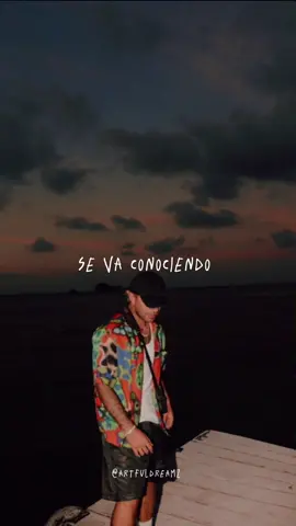 𝟣𝟦 𝒟𝑒 𝐹𝑒𝒷𝓇𝑒𝓇𝑜-𝐹𝐸𝐼𝒟 💚 #parati #paratii #fyp #viral #estadosparawhatsapp #greenscreen #estados #feid #ferxxo #14defebrerofeid #amor #Love #letras #lyricsvideo 