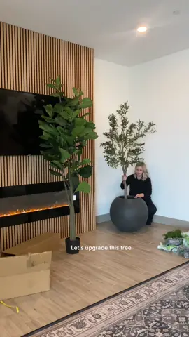 In my faux plant era 🪴💫 find plants & light in my mazon SF under home 🫶🏼🫶🏼🫶🏼 #homedecor #fauxplants #olivetrees #fiddleleaffig #indoorplants #pottedplants #homefinds 